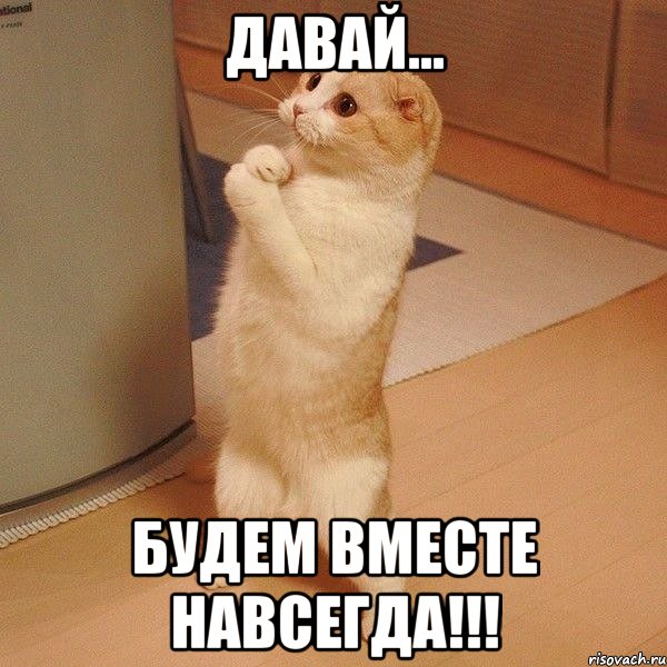 давай... будем вместе навсегда!!!, Мем  котэ молится