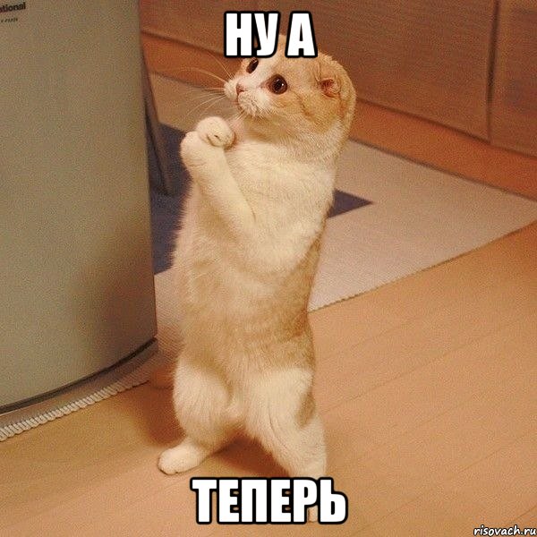 ну а теперь, Мем  котэ молится