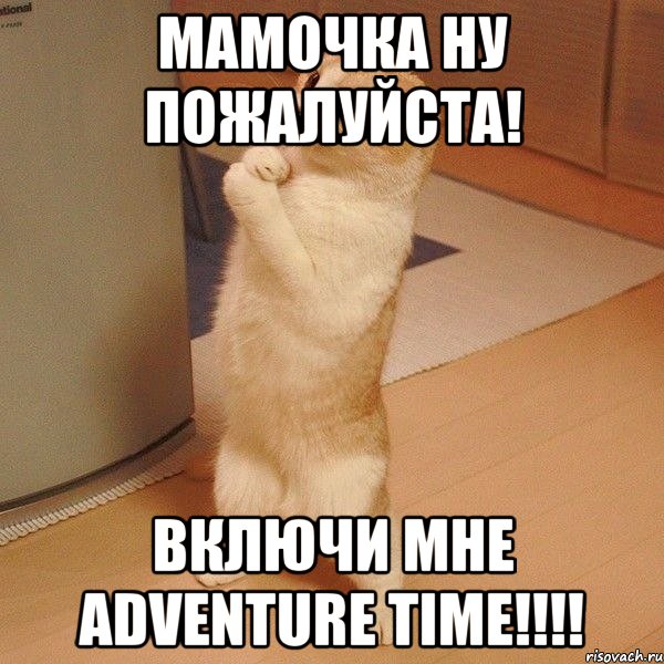 мамочка ну пожалуйста! включи мне adventure time!!!, Мем  котэ молится