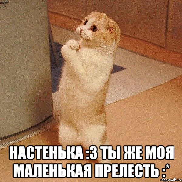  настенька :3 ты же моя маленькая прелесть :*, Мем  котэ молится