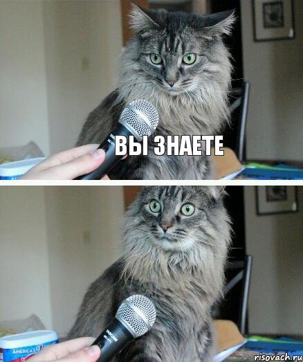  Вы знаете , Комикс  кот с микрофоном