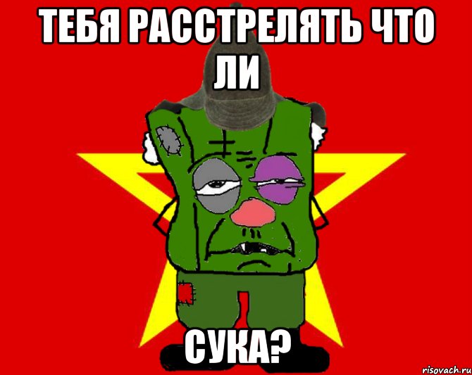 тебя расстрелять что ли сука?