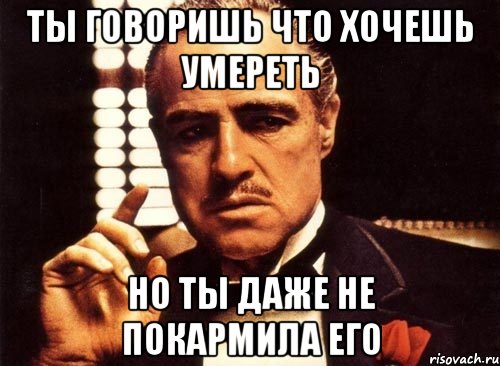 ты говоришь что хочешь умереть но ты даже не покармила его, Мем крестный отец