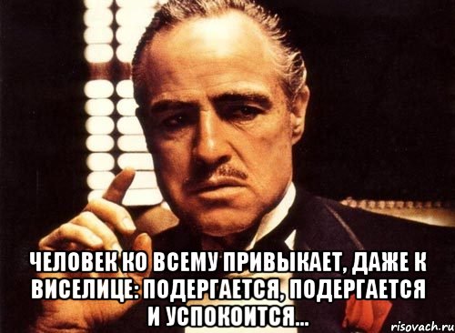  человек ко всему привыкает, даже к виселице: подергается, подергается и успокоится..., Мем крестный отец