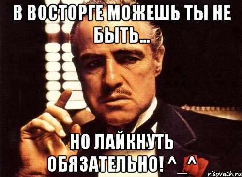 в восторге можешь ты не быть... но лайкнуть обязательно! ^_^, Мем крестный отец