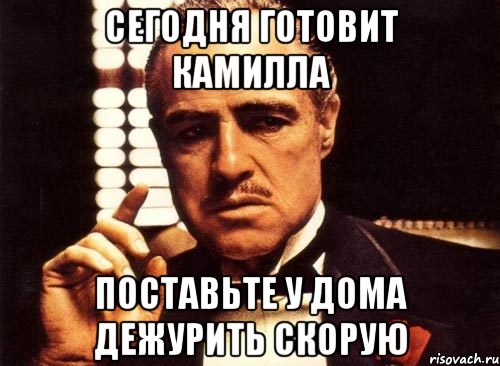 Направьте пожалуйста. Камилла шутки. Приколы про Камиллу. Мемы про Камиллу. Камилла Мем.