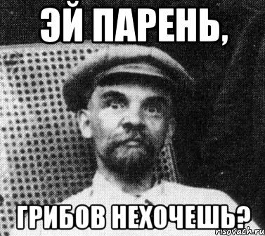 эй парень, грибов нехочешь?, Мем   Ленин удивлен