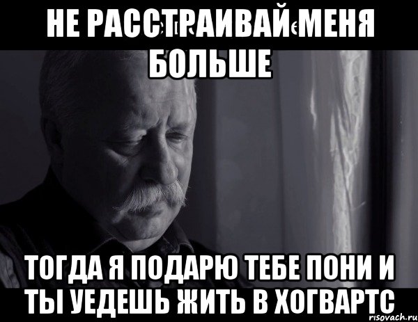 не расстраивай меня больше тогда я подарю тебе пони и ты уедешь жить в хогвартс, Мем Не расстраивай Леонида Аркадьевича