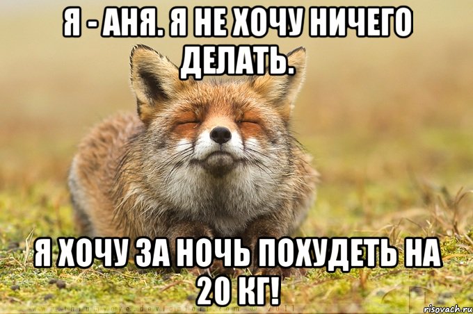 я - аня. я не хочу ничего делать. я хочу за ночь похудеть на 20 кг!, Мем лиса фыр-фыр-фыр