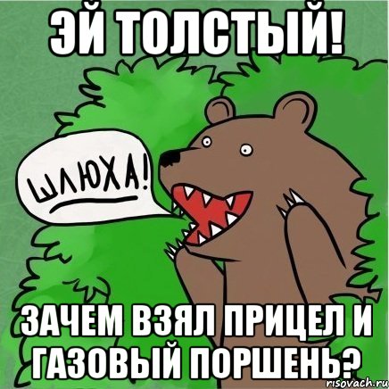 эй толстый! зачем взял прицел и газовый поршень?, Мем Медведь в кустах