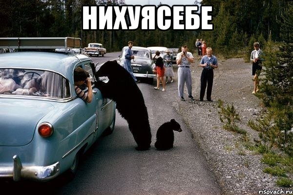 нихуясебе 