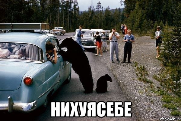  нихуясебе