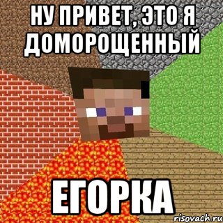 ну привет, это я доморощенный егорка, Мем Миникрафтер