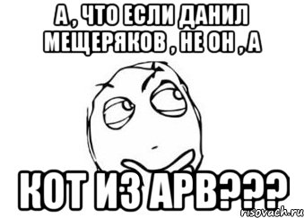 а , что если данил мещеряков , не он , а кот из apb???, Мем Мне кажется или