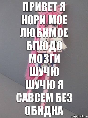 привет я нори мое любимое блюдо мозги шучю шучю я савсем без обидна