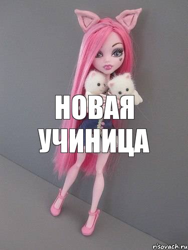 новая учиница