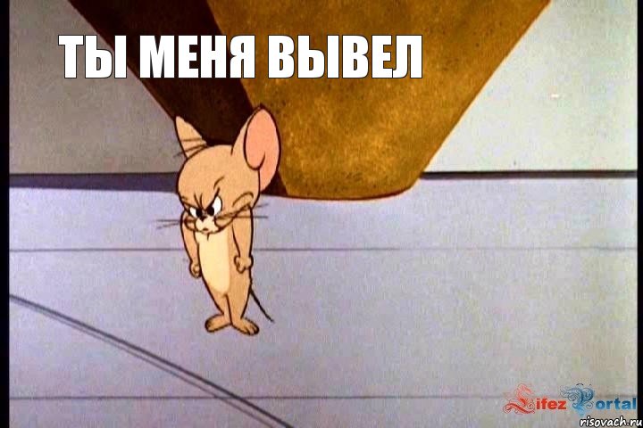 ты меня вывел