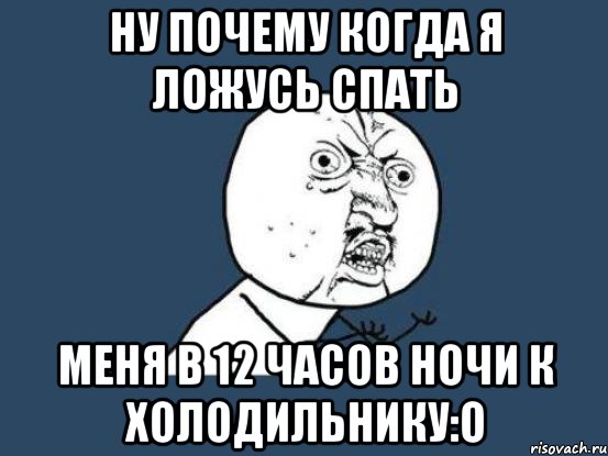 ну почему когда я ложусь спать меня в 12 часов ночи к холодильнику:о, Мем Ну почему