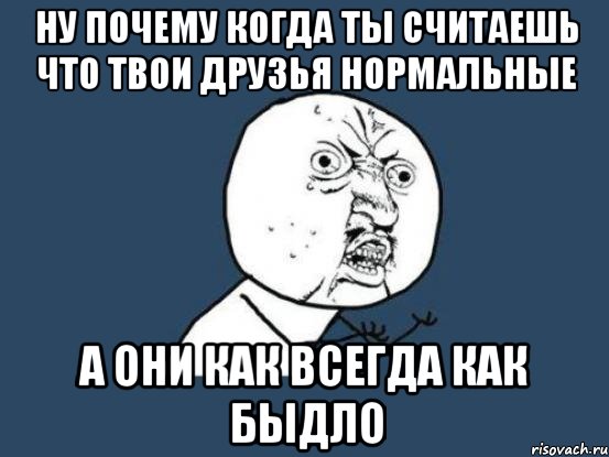 ну почему когда ты считаешь что твои друзья нормальные а они как всегда как быдло, Мем Ну почему