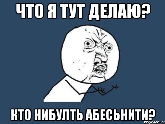 что я тут делаю? кто нибулть абесьнити?, Мем Ну почему