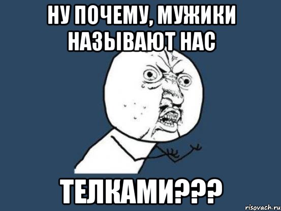 ну почему, мужики называют нас телками???, Мем Ну почему