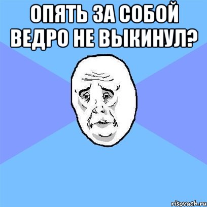 опять за собой ведро не выкинул? , Мем Okay face