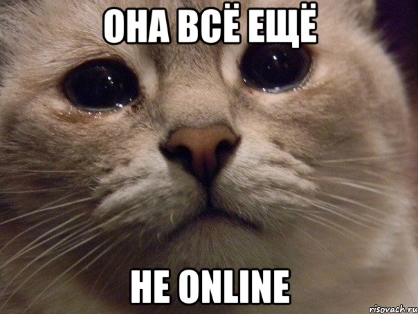 она всё ещё не online