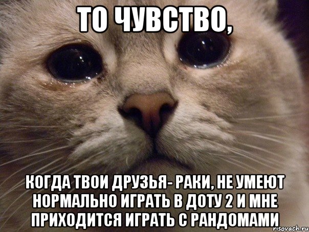 то чувство, когда твои друзья- раки, не умеют нормально играть в доту 2 и мне приходится играть с рандомами