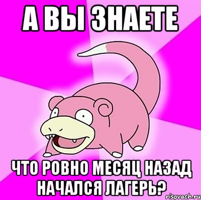 а вы знаете что ровно месяц назад начался лагерь?, Мем слоупок