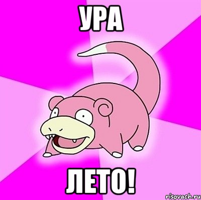 ура лето!, Мем слоупок