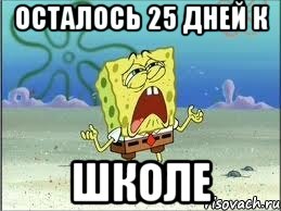 Осталось 25. Осталось 25 дней. Осталось 25 дней картинки.