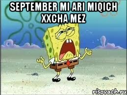 september mi ari miqich xxcha mez , Мем Спанч Боб плачет