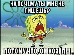 ну почему ты мне не пишешь? потому что, он козёл!!!, Мем Спанч Боб плачет