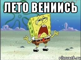 лето вениись , Мем Спанч Боб плачет