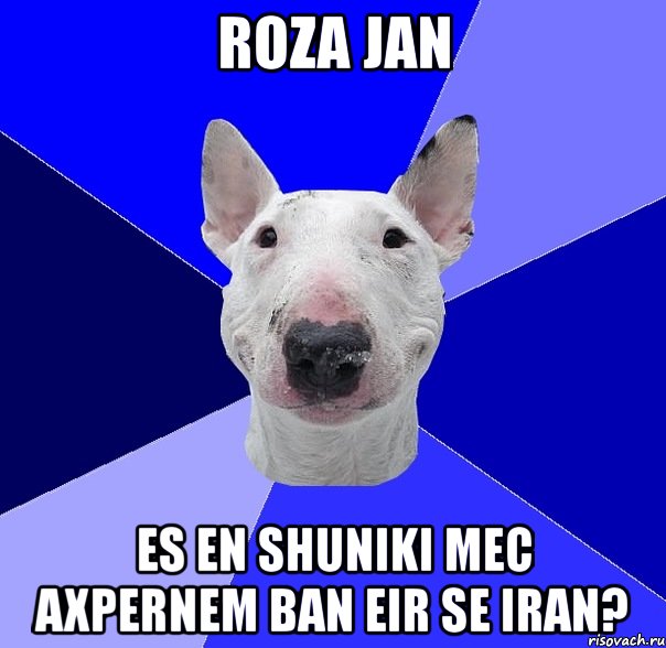 roza jan es en shuniki mec axpernem ban eir se iran?, Мем типичный буль