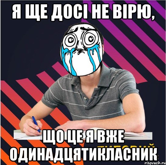 я ще досі не вірю, що це я вже одинадцятикласник, Мем Типовий одинадцятикласник