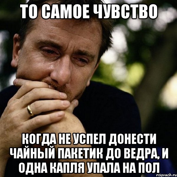 то самое чувство когда не успел донести чайный пакетик до ведра, и одна капля упала на пол, Мем Тим рот плачет