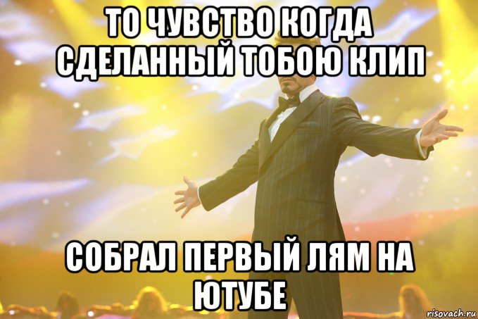 то чувство когда сделанный тобою клип собрал первый лям на ютубе, Мем Тони Старк (Роберт Дауни младший)