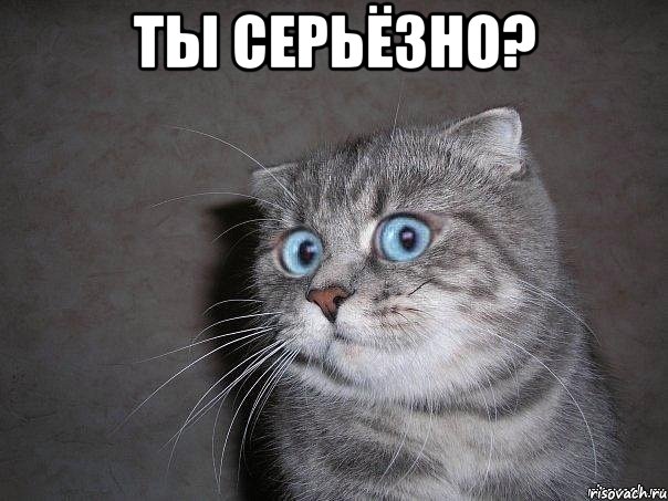 ты серьёзно? 