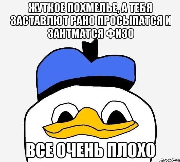 жуткое похмелье, а тебя заставлют рано просыпатся и зантматся физо все очень плохо, Мем Утка