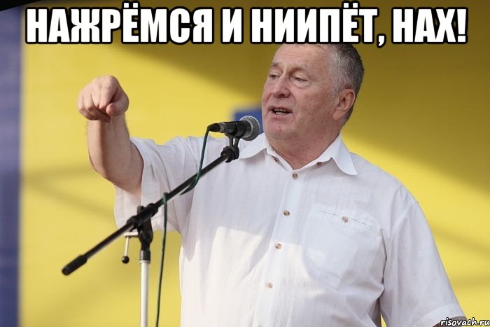 нажрёмся и ниипёт, нах! , Мем Владимир вольфович