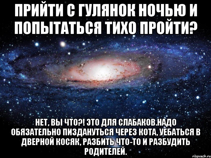 прийти с гулянок ночью и попытаться тихо пройти? нет, вы что?! это для слабаков.надо обязательно пиздануться через кота, уебаться в дверной косяк, разбить что-то и разбудить родителей., Мем Вселенная