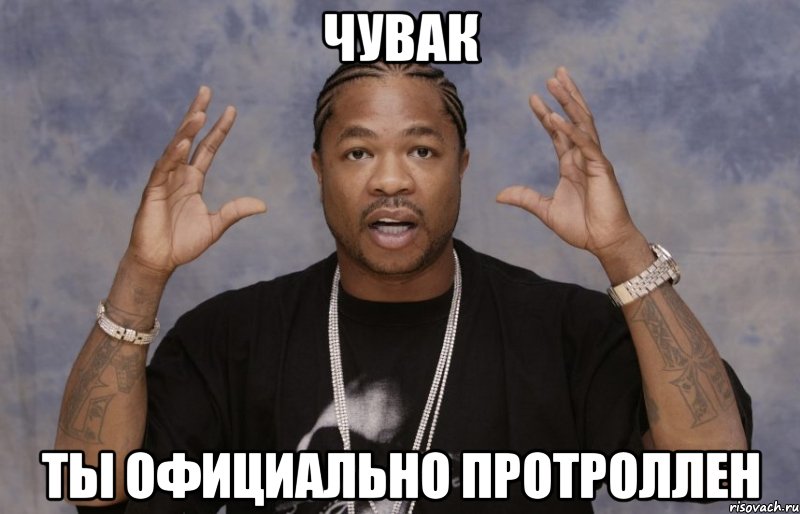 чувак ты официально протроллен, Мем Xzibit