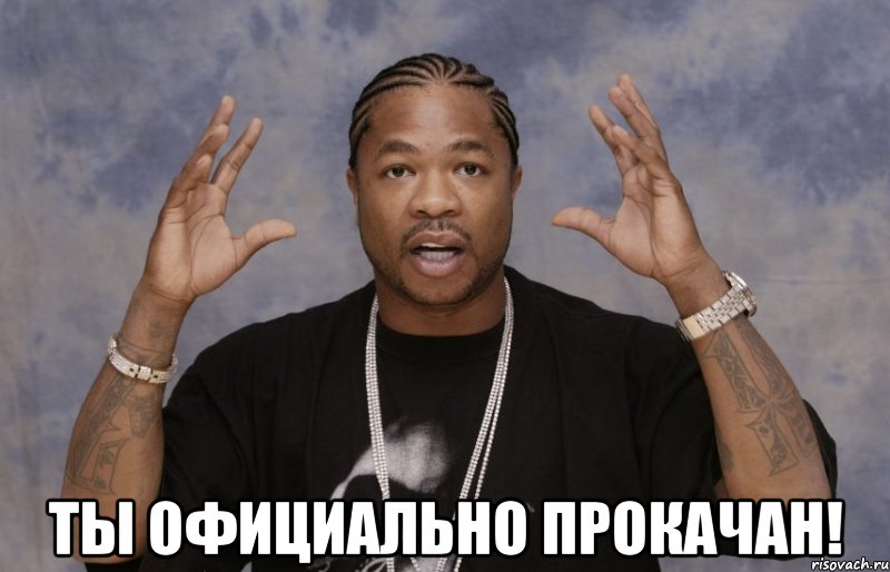  ты официально прокачан!, Мем Xzibit