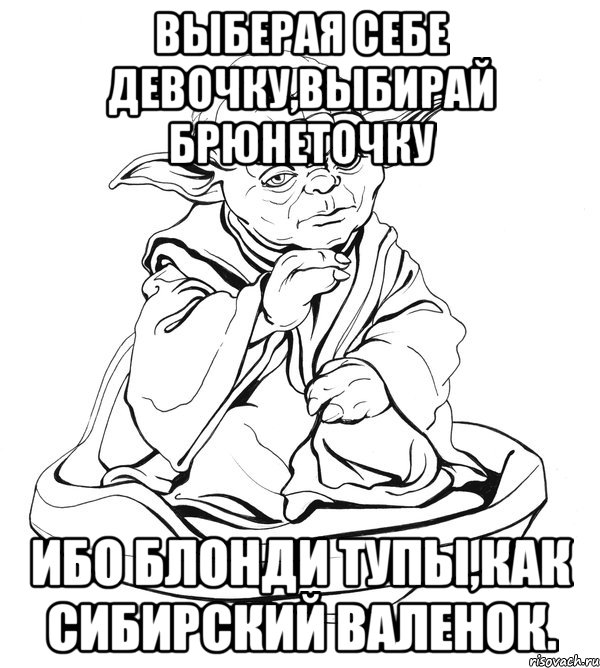 выберая себе девочку,выбирай брюнеточку ибо блонди тупы,как сибирский валенок., Мем Мастер Йода