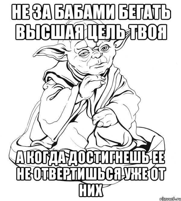 не за бабами бегать высшая цель твоя а когда достигнешь ее не отвертишься уже от них, Мем Мастер Йода