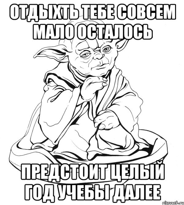 отдыхть тебе совсем мало осталось предстоит целый год учебы далее, Мем Мастер Йода