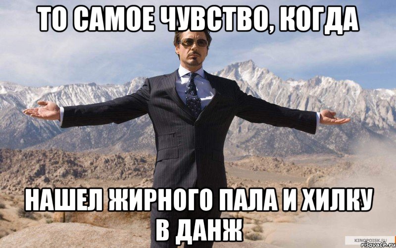 то самое чувство, когда нашел жирного пала и хилку в данж, Мем железный человек