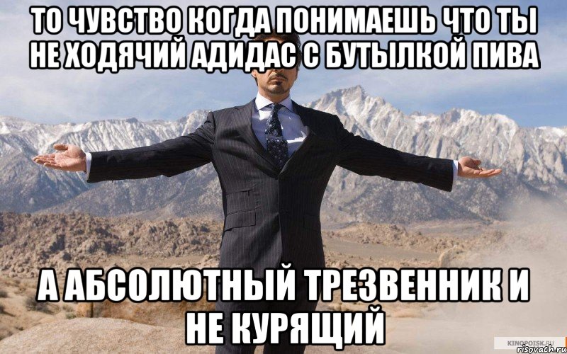 то чувство когда понимаешь что ты не ходячий адидас с бутылкой пива а абсолютный трезвенник и не курящий, Мем железный человек