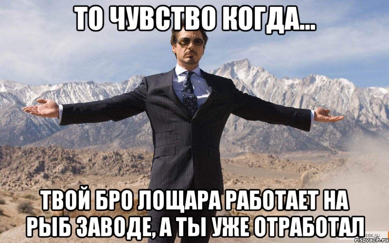 то чувство когда... твой бро лощара работает на рыб заводе, а ты уже отработал, Мем железный человек